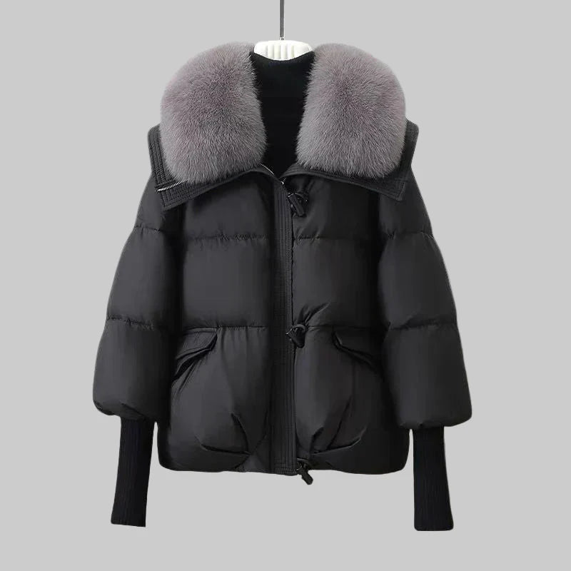 Padded Jacket With Wide Collar For Women | Caldrisse